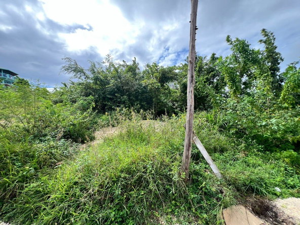 Second image of 992 White Hall in Whitehall, Westmoreland, Jamaica - property is For Sale