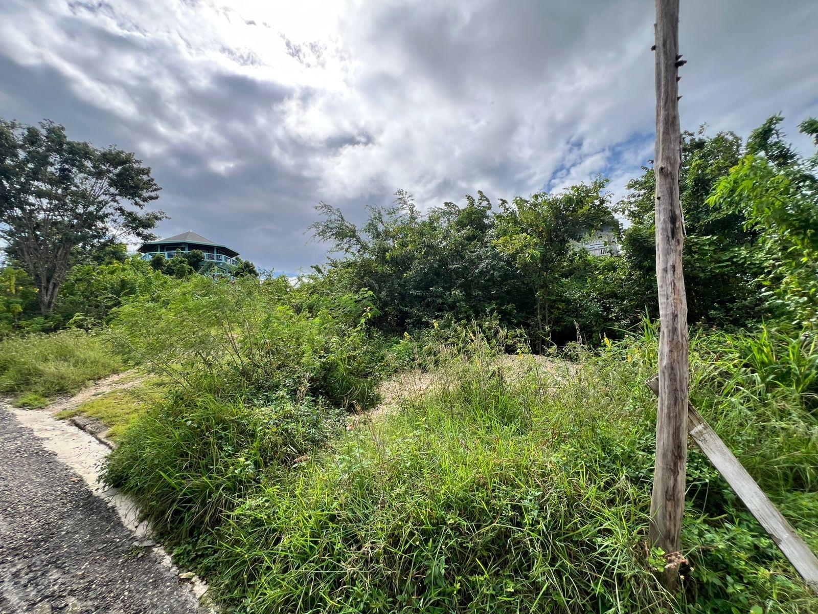 Third image of 992 White Hall in Whitehall, Westmoreland, Jamaica - property is For Sale