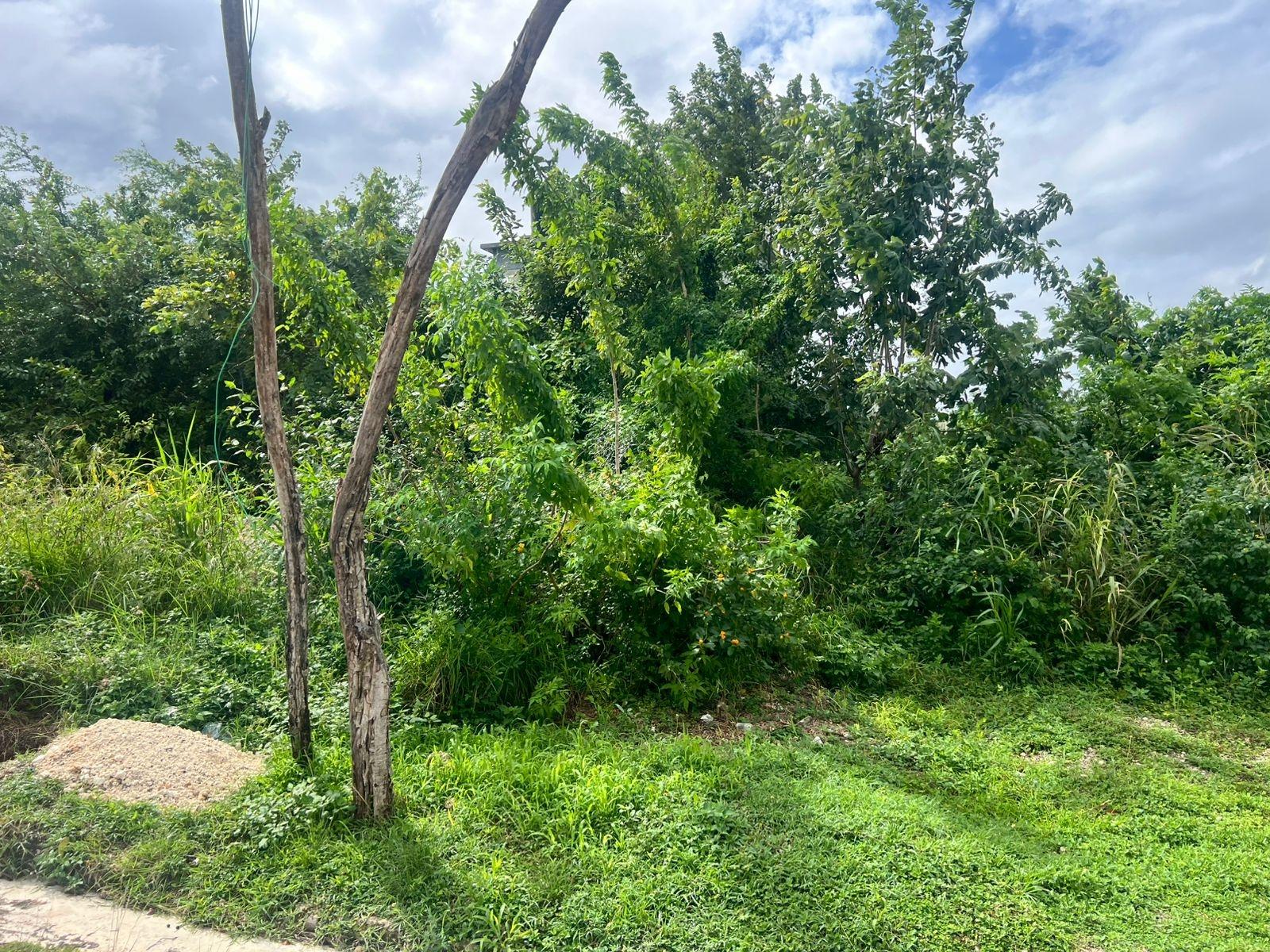 Fourth image of 992 White Hall in Whitehall, Westmoreland, Jamaica - property is For Sale