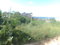 First image of 681 Barrett's Hall, St. James in BARRETT TOWN, St. James, Jamaica - property is For Sale
