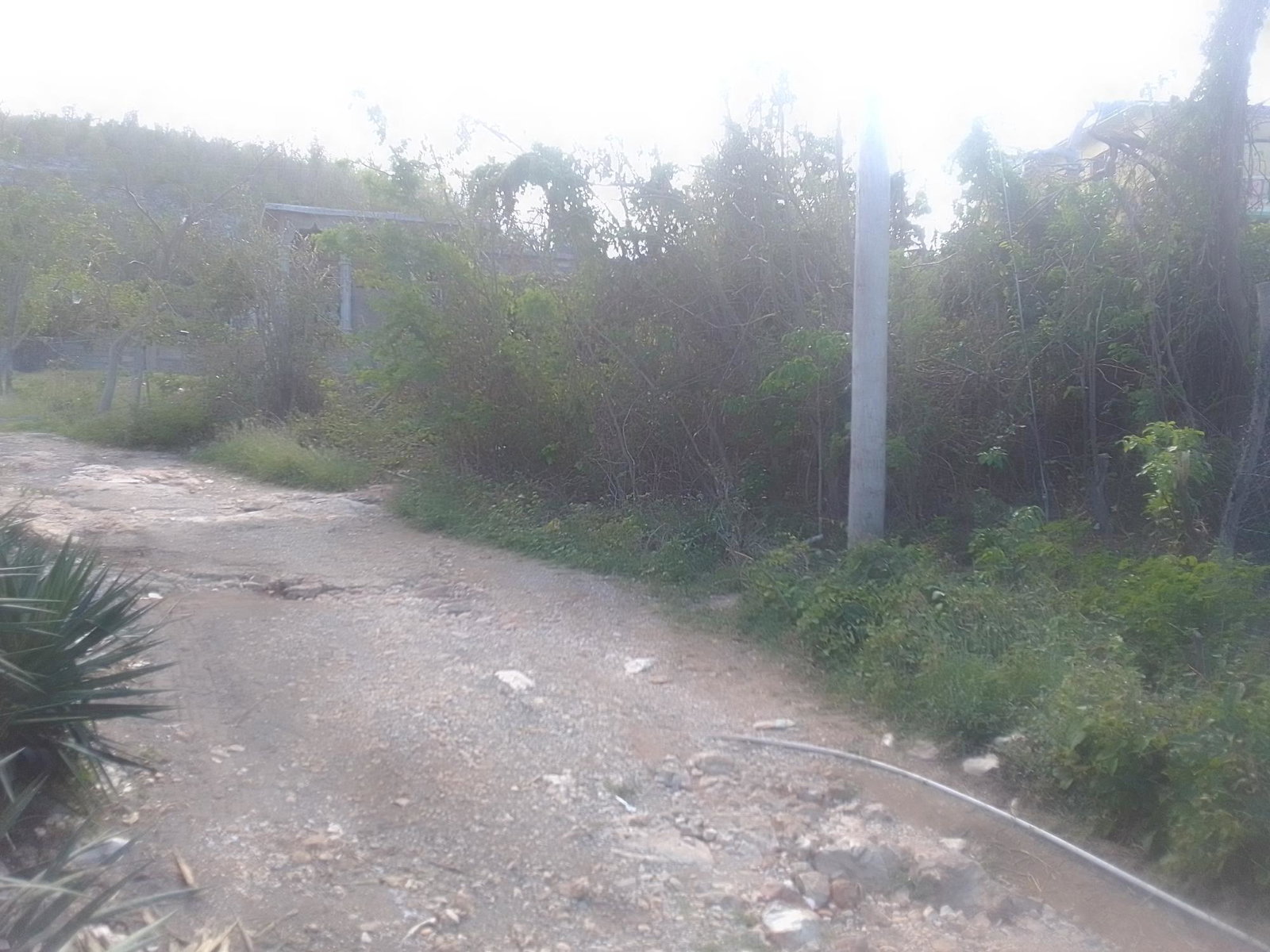 Second image of 681 Barrett's Hall, St. James in BARRETT TOWN, St. James, Jamaica - property is For Sale