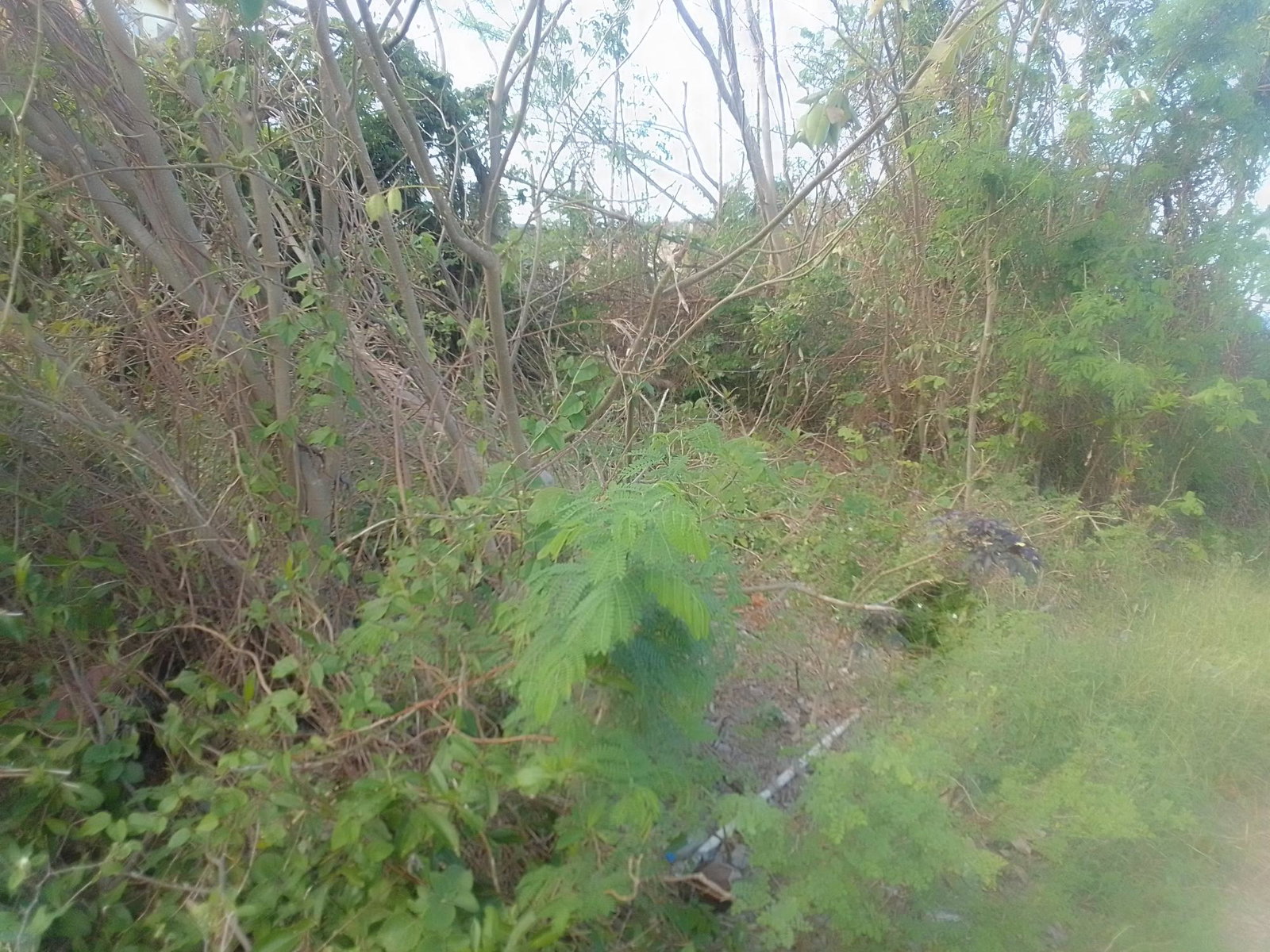 Fifth image of 681 Barrett's Hall, St. James in BARRETT TOWN, St. James, Jamaica - property is For Sale