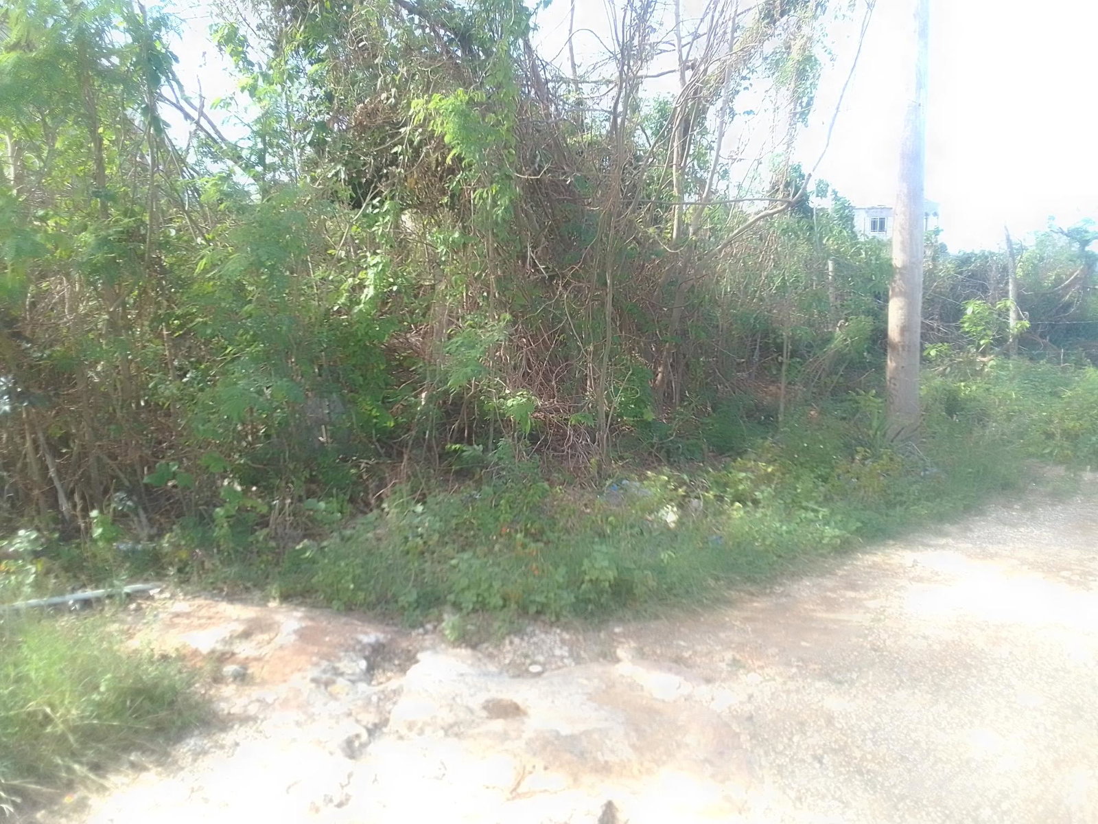 Sixth image of 681 Barrett's Hall, St. James in BARRETT TOWN, St. James, Jamaica - property is For Sale