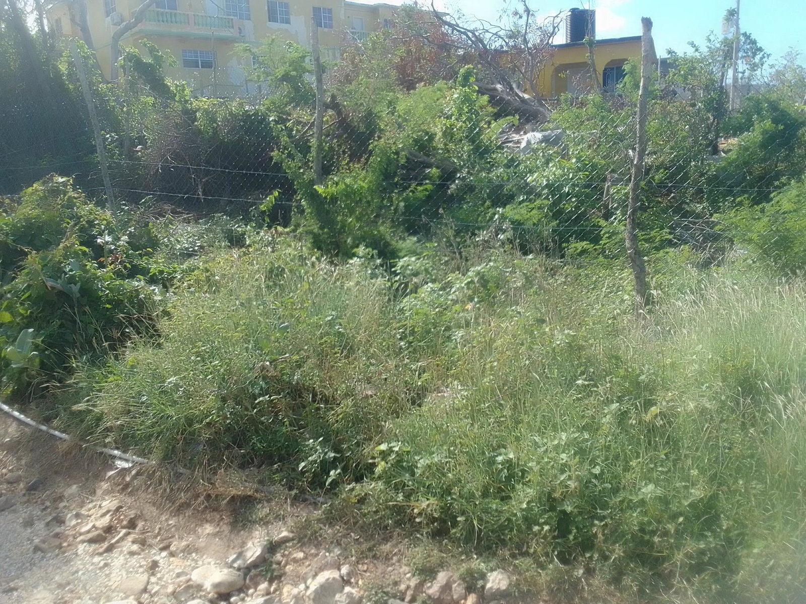 Seventh image of 681 Barrett's Hall, St. James in BARRETT TOWN, St. James, Jamaica - property is For Sale