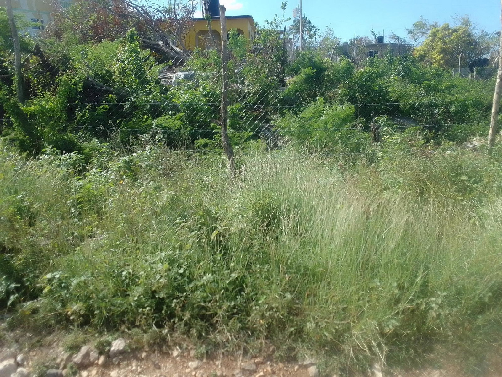 Eighth image of 681 Barrett's Hall, St. James in BARRETT TOWN, St. James, Jamaica - property is For Sale