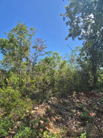 First image of 21 Huddersfield in Huddersfield Heights, St. Mary, Jamaica - property is For Sale