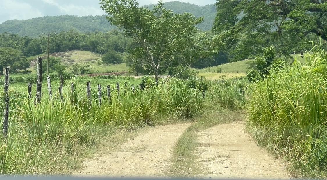 Tenth image of Bogue in Bogue, St. Elizabeth, Jamaica - property is For Sale