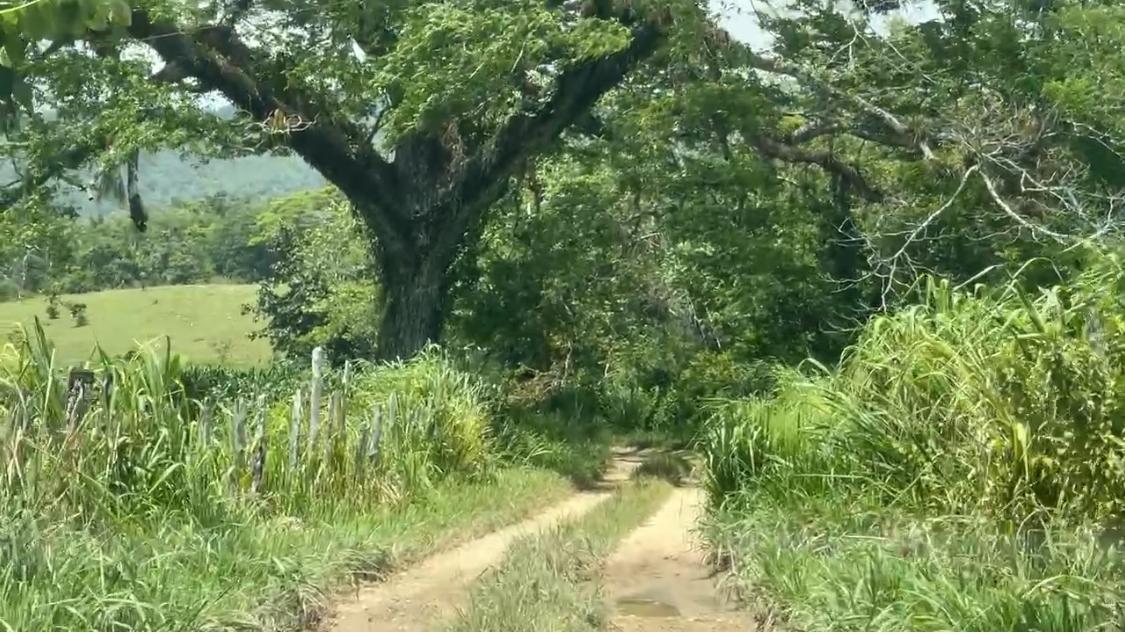 Eleventh image of Bogue in Bogue, St. Elizabeth, Jamaica - property is For Sale