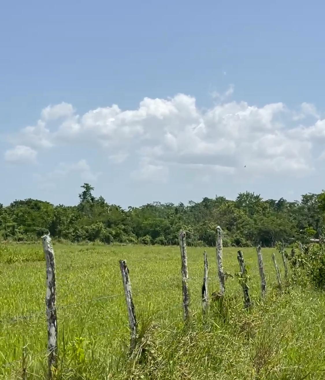 Thirteenth image of Bogue in Bogue, St. Elizabeth, Jamaica - property is For Sale