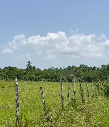 Thirteenth image of Bogue in Bogue, St. Elizabeth, Jamaica - property is For Sale