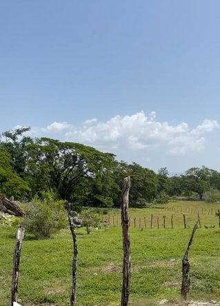 Fourteenth image of Bogue in Bogue, St. Elizabeth, Jamaica - property is For Sale