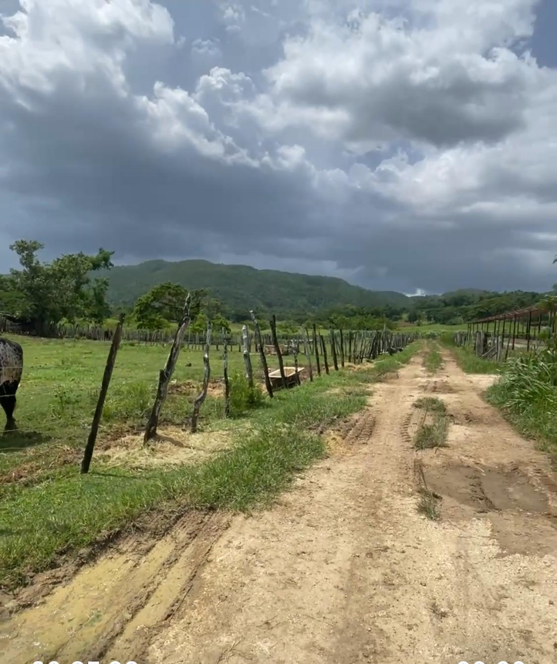 Fifteenth image of Bogue in Bogue, St. Elizabeth, Jamaica - property is For Sale