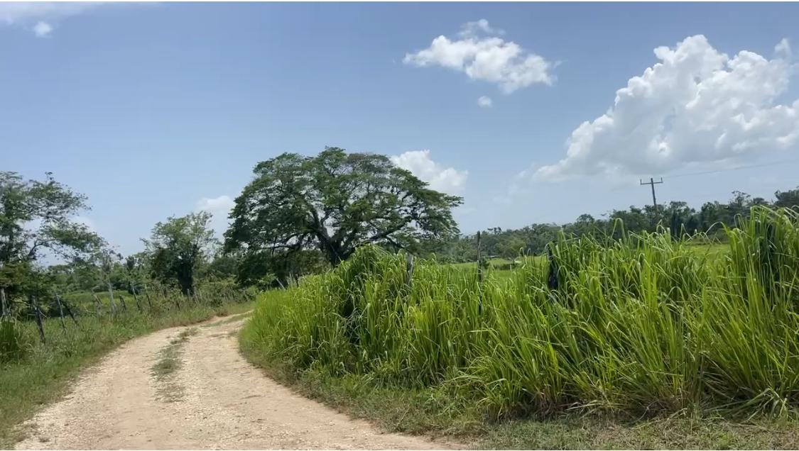 Seventeenth image of Bogue in Bogue, St. Elizabeth, Jamaica - property is For Sale