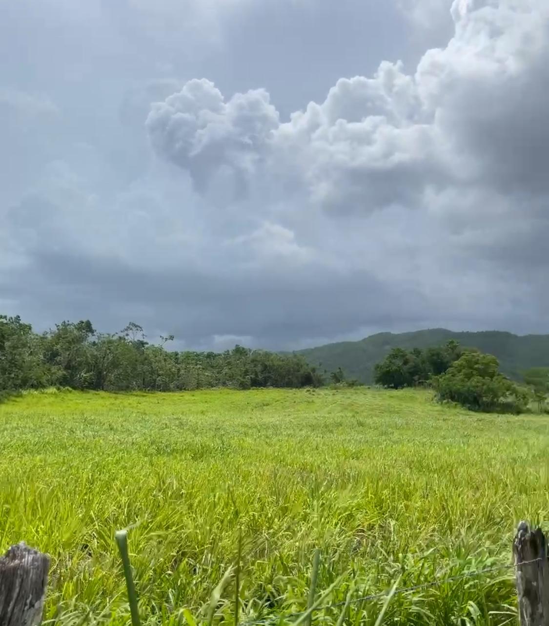Nineteenth image of Bogue in Bogue, St. Elizabeth, Jamaica - property is For Sale