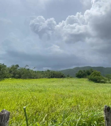 Nineteenth image of Bogue in Bogue, St. Elizabeth, Jamaica - property is For Sale