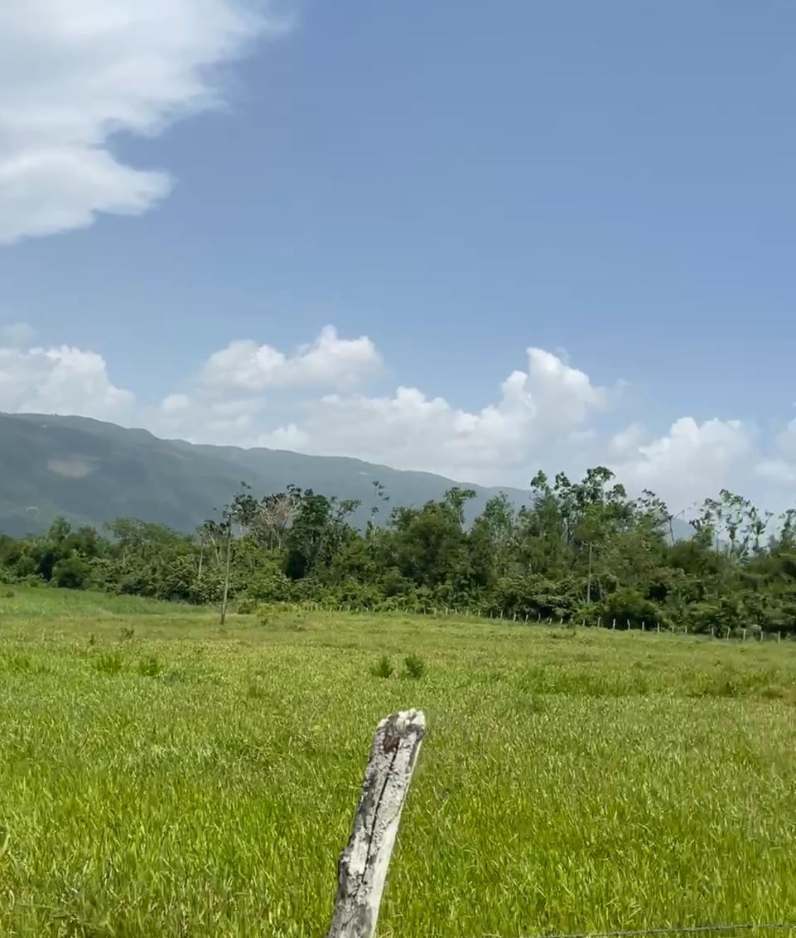 Fourth image of Bogue in Bogue, St. Elizabeth, Jamaica - property is For Sale