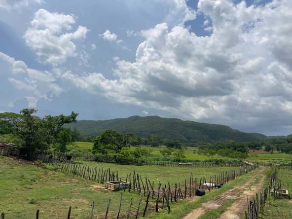 Fifth image of Bogue in Bogue, St. Elizabeth, Jamaica - property is For Sale