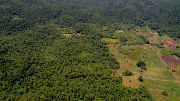 Seventh image of Bogue in Bogue, St. Elizabeth, Jamaica - property is For Sale