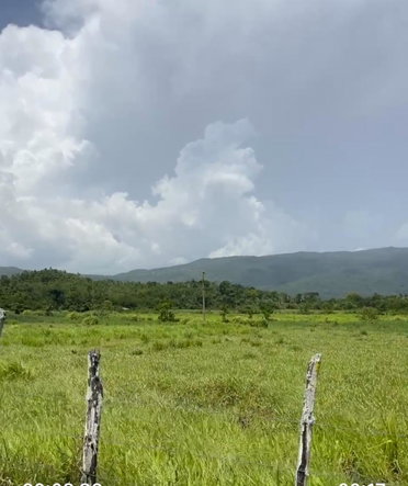 Ninth image of Bogue in Bogue, St. Elizabeth, Jamaica - property is For Sale