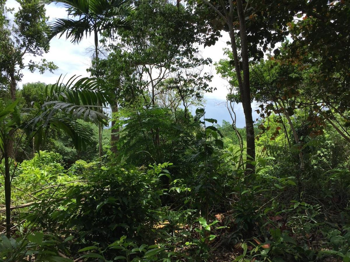 First image of San San , Portland in SAN SAN, Portland, Jamaica - property is For Sale