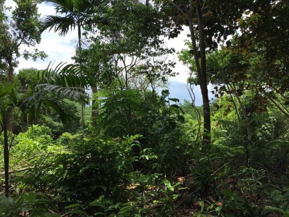 First image of San San , Portland in SAN SAN, Portland, Jamaica - property is For Sale