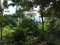 First image of San San , Portland in SAN SAN, Portland, Jamaica - property is For Sale
