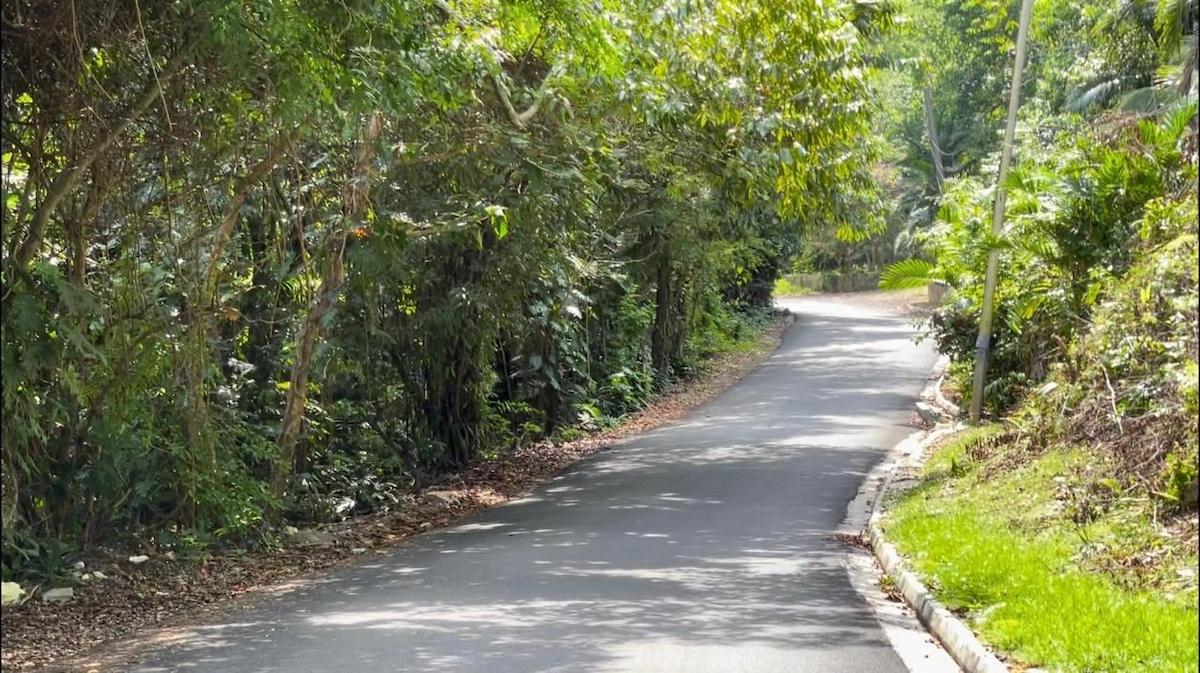 Second image of San San , Portland in SAN SAN, Portland, Jamaica - property is For Sale