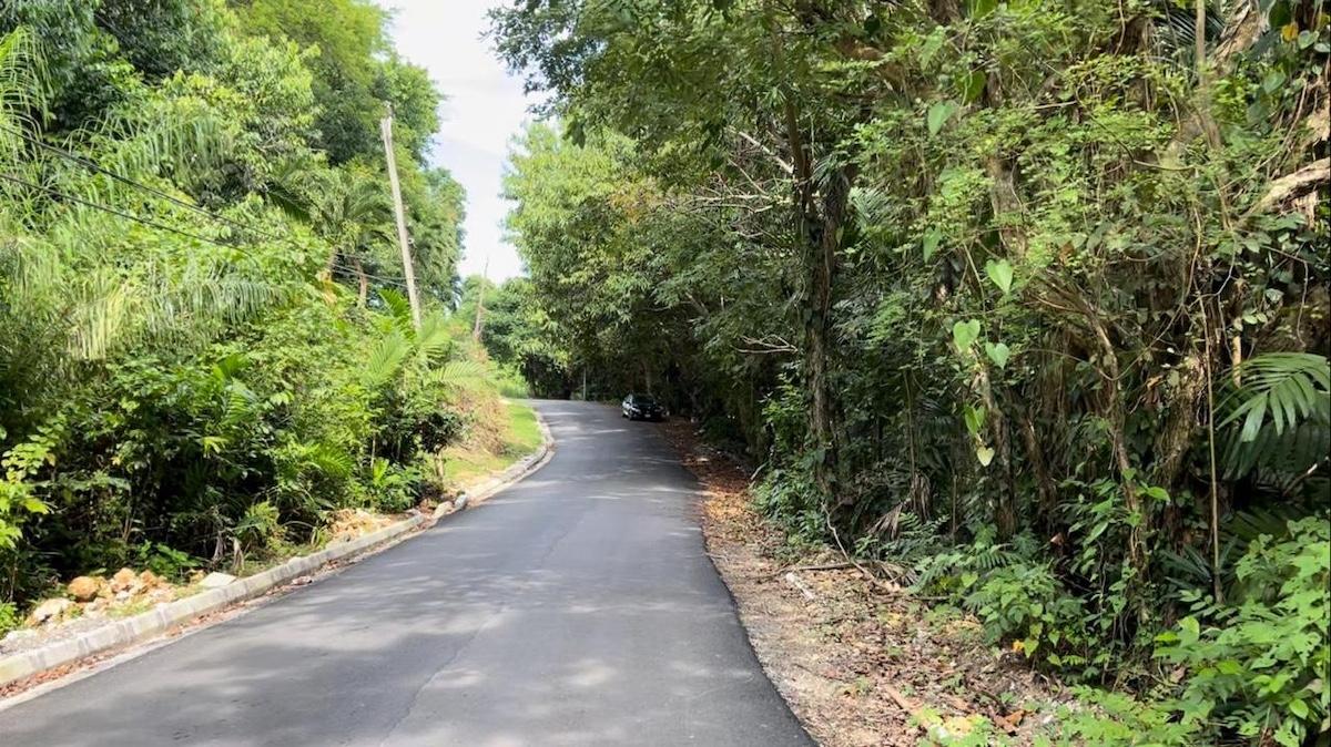 Fourth image of San San , Portland in SAN SAN, Portland, Jamaica - property is For Sale