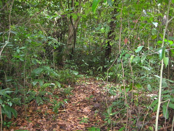 Fifth image of San San , Portland in SAN SAN, Portland, Jamaica - property is For Sale
