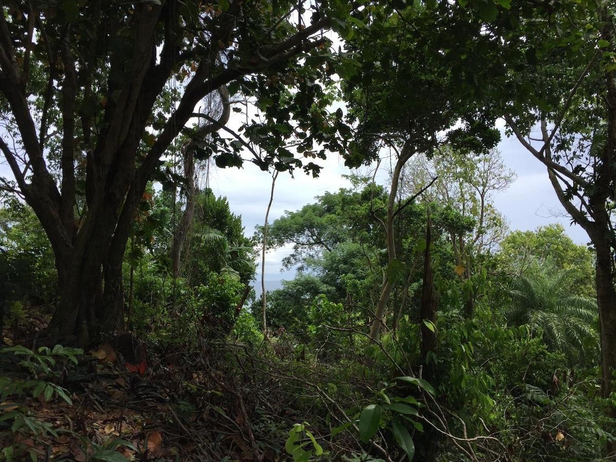 Eighth image of San San , Portland in SAN SAN, Portland, Jamaica - property is For Sale