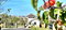 First image of 218 Irving Tower Estate ph 1b in Falmouth, Trelawny, Jamaica - property is For Sale