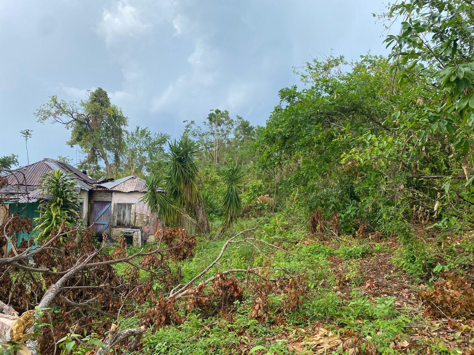 Second image of Part of Spring Valley in Spring Valley, St. Mary, Jamaica - property is For Sale