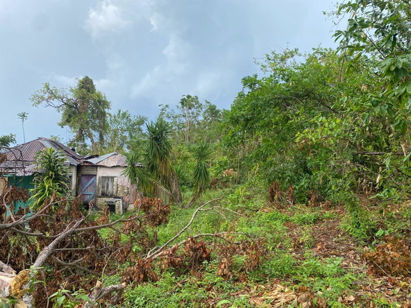 Second image of Part of Spring Valley in Spring Valley, St. Mary, Jamaica - property is For Sale
