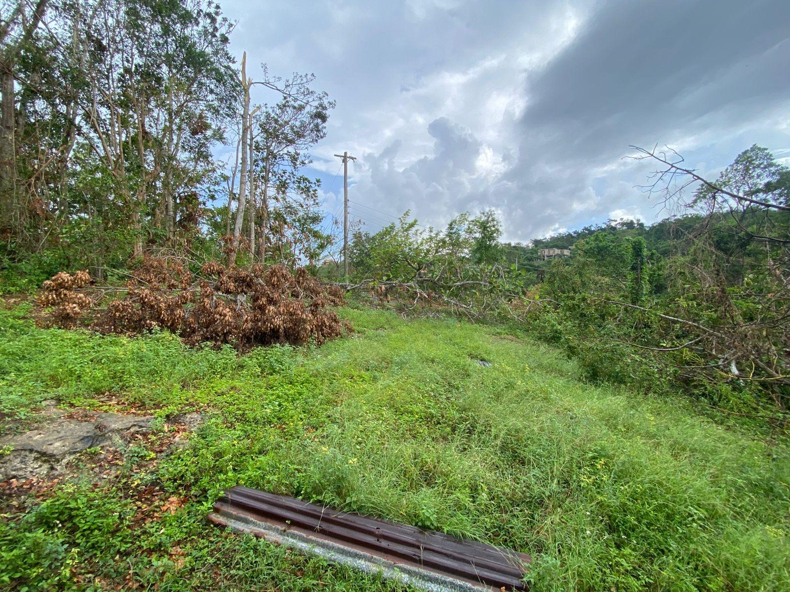 Third image of Part of Spring Valley in Spring Valley, St. Mary, Jamaica - property is For Sale