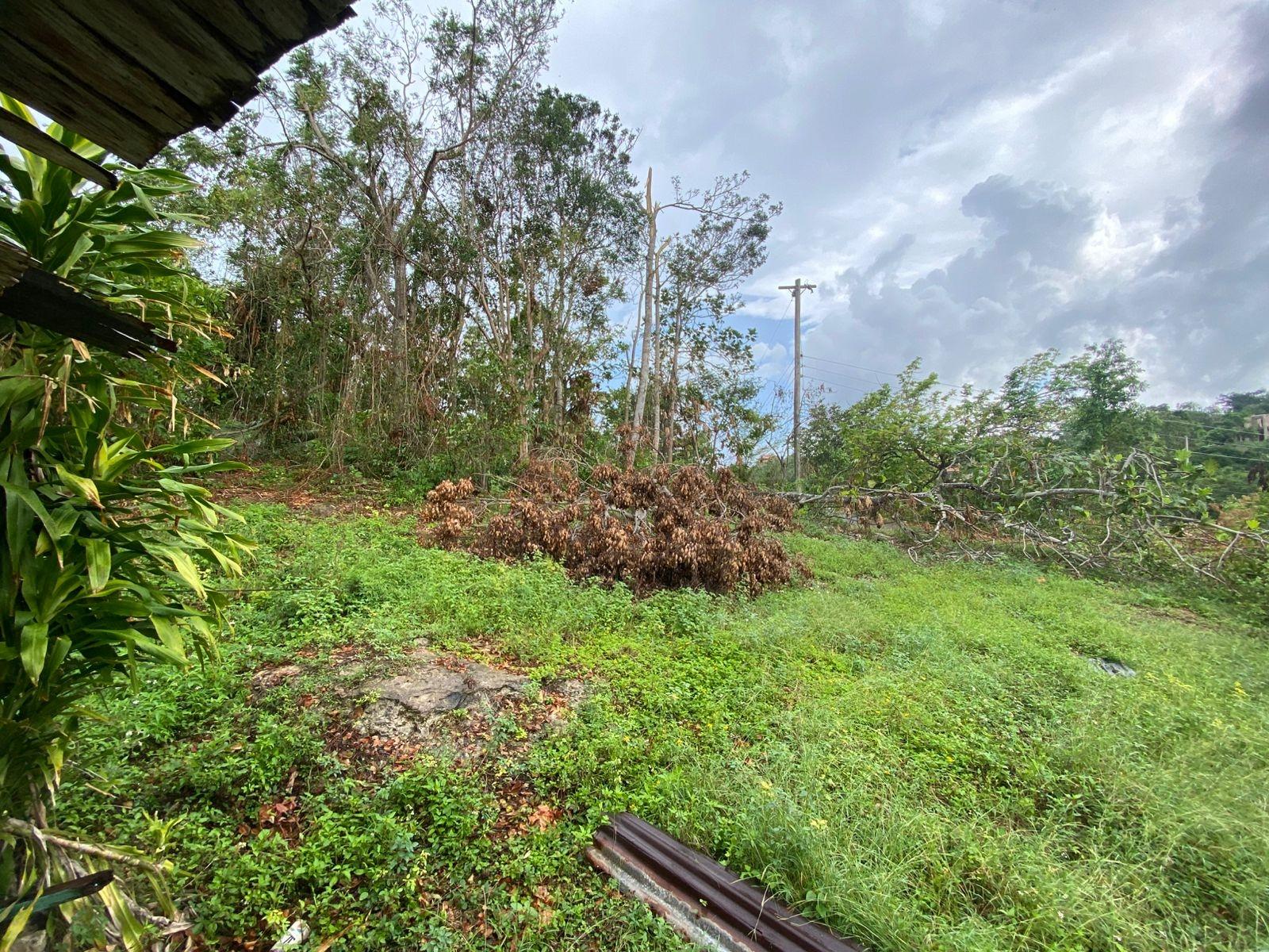 Fourth image of Part of Spring Valley in Spring Valley, St. Mary, Jamaica - property is For Sale