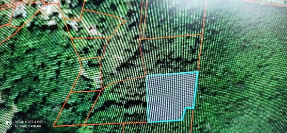 Eighteenth image of Gravesend, Trelawny in Gravesend, Trelawny, Jamaica - property is For Sale