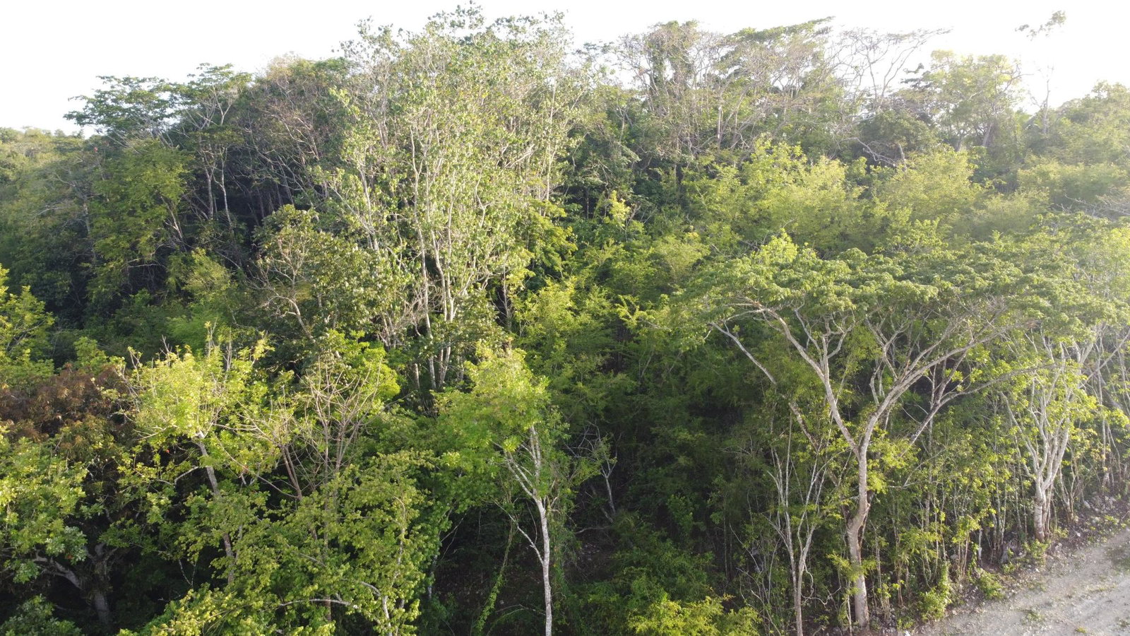 Second image of Gravesend, Trelawny in Gravesend, Trelawny, Jamaica - property is For Sale
