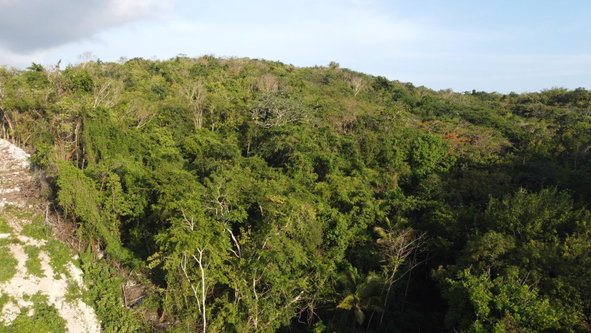 Third image of Gravesend, Trelawny in Gravesend, Trelawny, Jamaica - property is For Sale