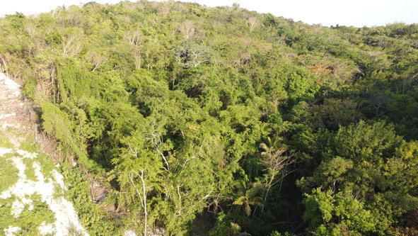 Fifth image of Gravesend, Trelawny in Gravesend, Trelawny, Jamaica - property is For Sale