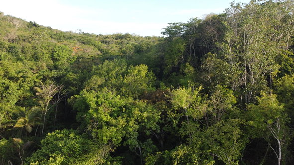 Seventh image of Gravesend, Trelawny in Gravesend, Trelawny, Jamaica - property is For Sale