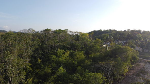 Eighth image of Gravesend, Trelawny in Gravesend, Trelawny, Jamaica - property is For Sale