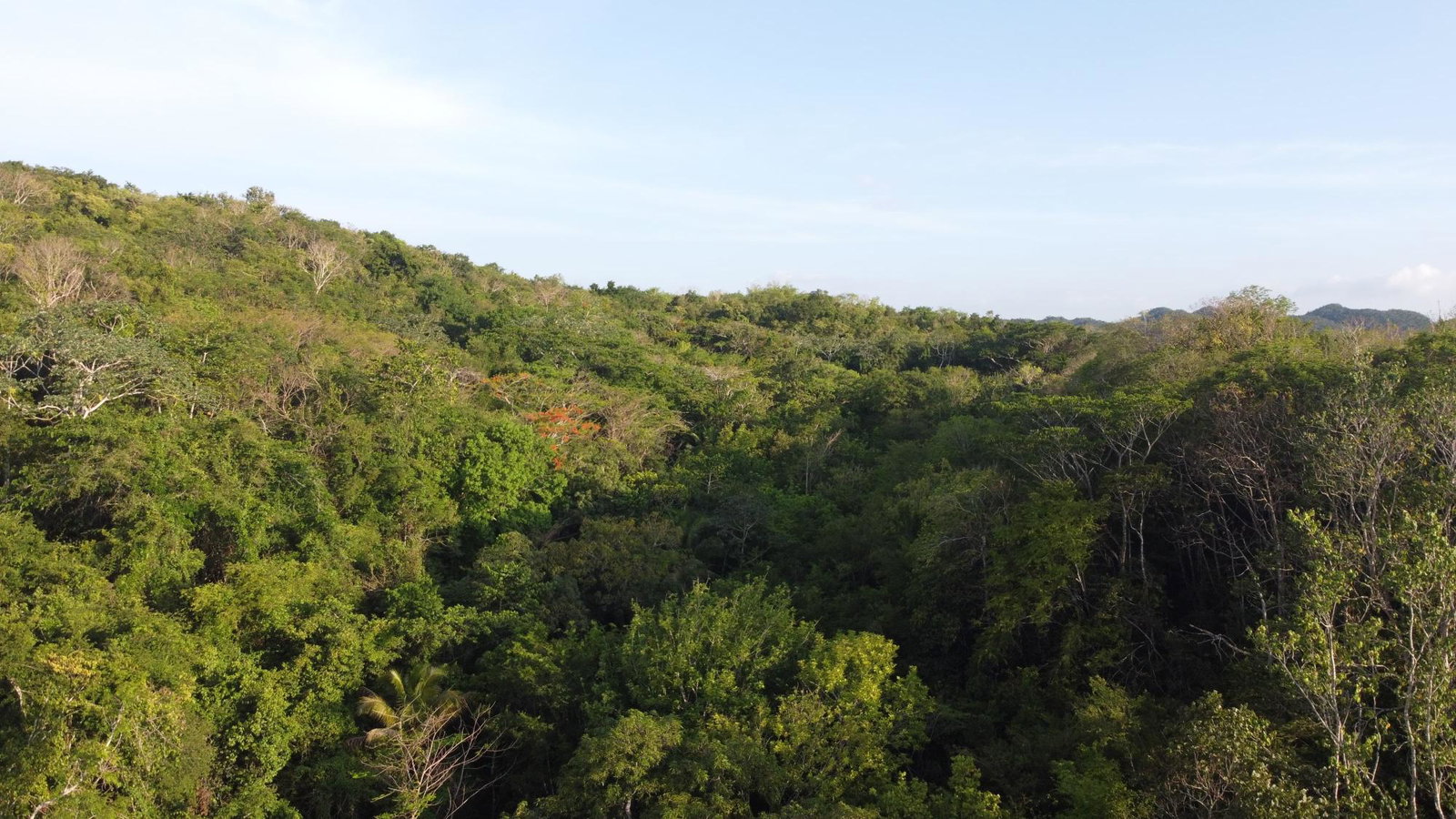 Ninth image of Gravesend, Trelawny in Gravesend, Trelawny, Jamaica - property is For Sale