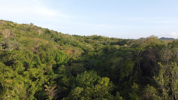 Ninth image of Gravesend, Trelawny in Gravesend, Trelawny, Jamaica - property is For Sale