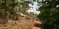 First image of 1 Potsdam District , Munroe in Malvern, St. Elizabeth, Jamaica - property is For Sale