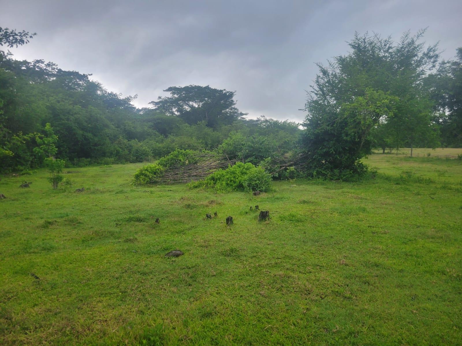 First image of 106 Old Hope in OLD HOPE PEN, Westmoreland, Jamaica - property is For Sale