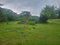First image of 106 Old Hope in OLD HOPE PEN, Westmoreland, Jamaica - property is For Sale