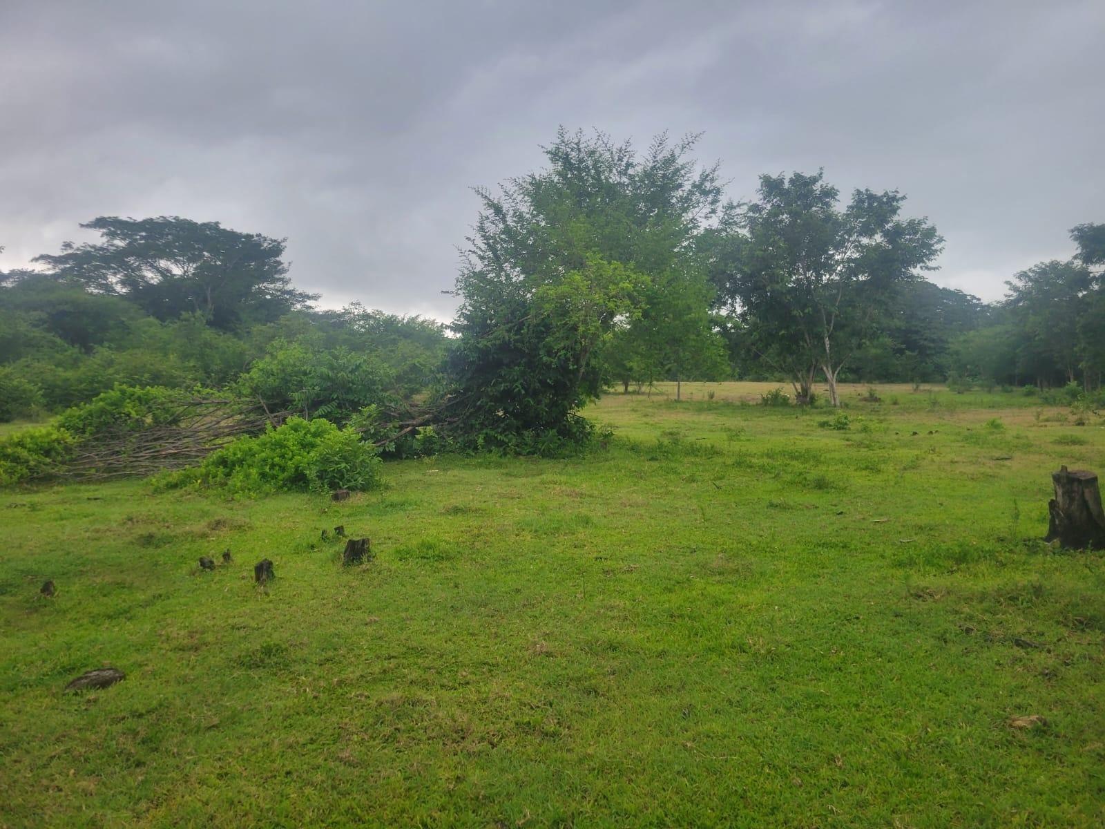 Third image of 106 Old Hope in OLD HOPE PEN, Westmoreland, Jamaica - property is For Sale