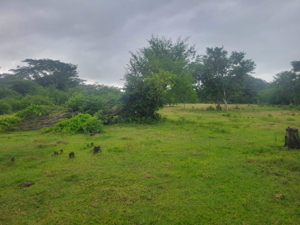 Third image of 106 Old Hope in OLD HOPE PEN, Westmoreland, Jamaica - property is For Sale