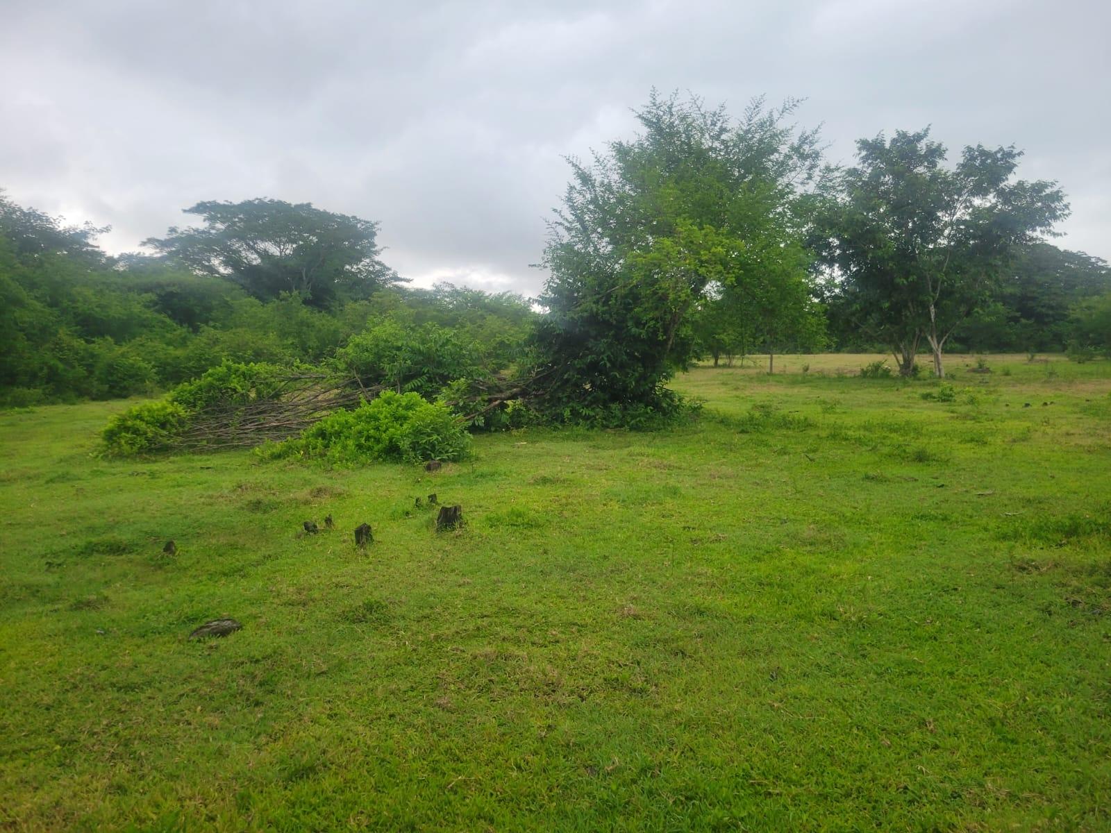 Fourth image of 106 Old Hope in OLD HOPE PEN, Westmoreland, Jamaica - property is For Sale