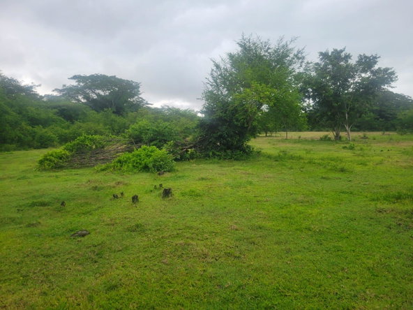Fourth image of 106 Old Hope in OLD HOPE PEN, Westmoreland, Jamaica - property is For Sale